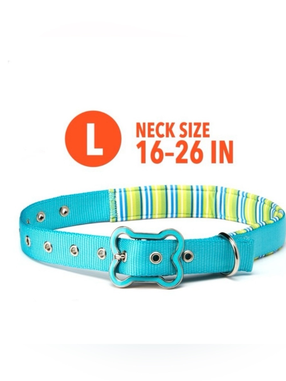 Vibrant Teal Padded Dog Collar with Bone-Shaped Buckle sz L